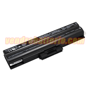 Batterie pour Sony VGP-BPS13B/S