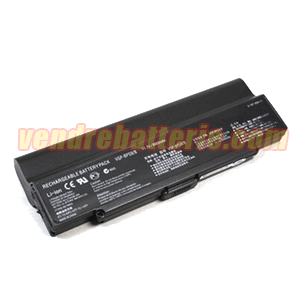 Batterie pour Sony VGP-BPS9A/S